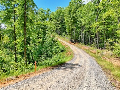 Discover your mountain paradise in the desirable Bryson Creek - photo 2