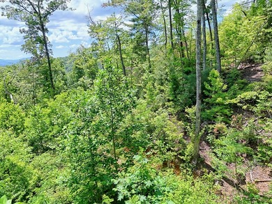 Discover your mountain paradise in the desirable Bryson Creek - photo 3