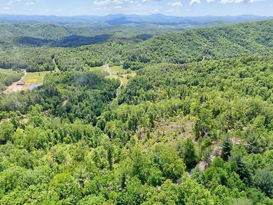 Discover your mountain paradise in the desirable Bryson Creek - photo 5
