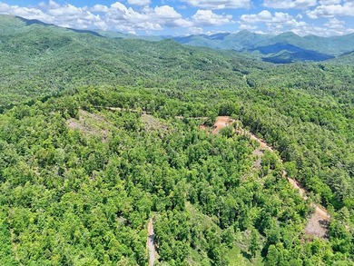 Discover your mountain paradise in the desirable Bryson Creek - photo 6