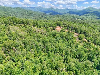 Discover your mountain paradise in the desirable Bryson Creek - photo 7