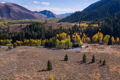 A true legacy estate with 33.45 pristine acres in the heart of - photo 30