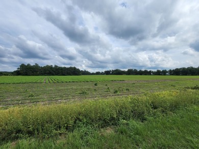 12.09 acres available now in rural Orangeburg County. Located - Lake Acreage Sale Pending in Elloree, South Carolina