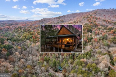 (private lake, pond, creek) Home For Sale in Ellijay Georgia