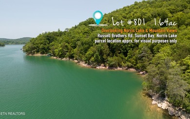 Embrace the potential of stellar Long Range Norris Lake & Mtn - photo 4