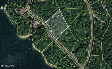 Embrace the potential of stellar Long Range Norris Lake & Mtn - photo 6