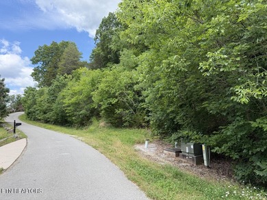 Embrace the potential of stellar Long Range Norris Lake & Mtn - photo 7