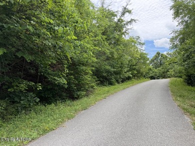 Embrace the potential of stellar Long Range Norris Lake & Mtn - photo 8