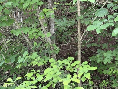 Embrace the potential of stellar Long Range Norris Lake & Mtn - photo 9