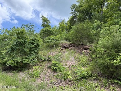 Embrace the potential of stellar Long Range Norris Lake & Mtn - photo 10