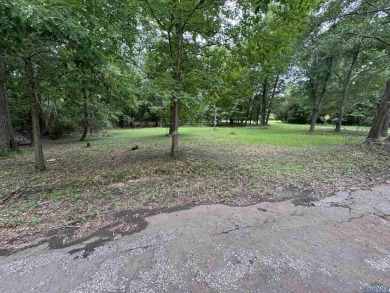 Lake Lot For Sale in Avinger, Texas