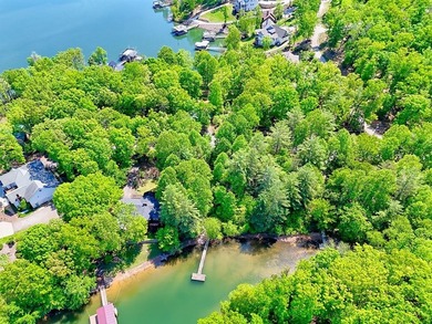 Nestled in a lovely Lake Nottely cove, these lots offer great - photo 3