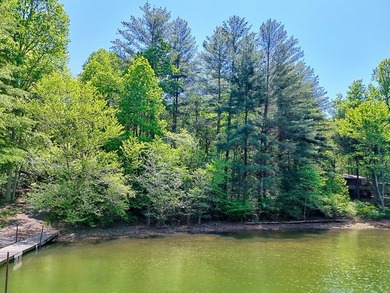 Nestled in a lovely Lake Nottely cove, these lots offer great - photo 4