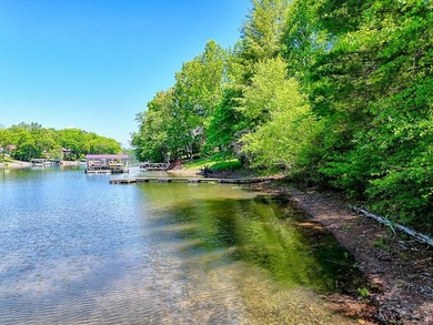 Nestled in a lovely Lake Nottely cove, these lots offer great - photo 5