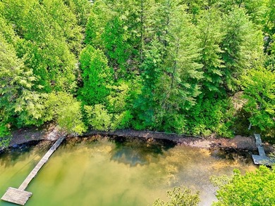Nestled in a lovely Lake Nottely cove, these lots offer great - photo 6