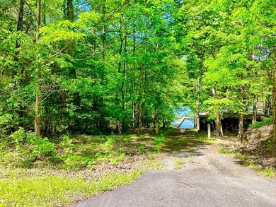 Nestled in a lovely Lake Nottely cove, these lots offer great - photo 9