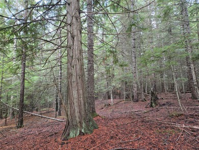 Clark Fork River Acreage For Sale in Heron Montana