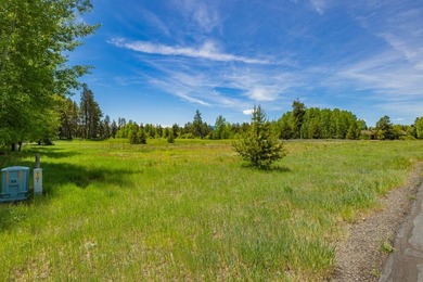 Build your dream home on a premium golf course lot with - photo 3