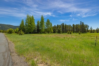 Build your dream home on a premium golf course lot with - photo 4