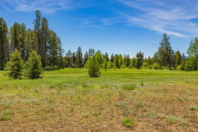 Build your dream home on a premium golf course lot with - photo 5