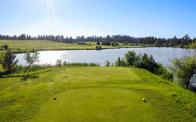 Build your dream home on a premium golf course lot with - photo 6