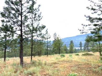 Lake Lot For Sale in Kettle Falls, Washington