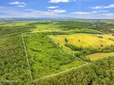 70 Acres of Unrestricted Land - Grigsby Hollow Rd, Kingston, TN - photo 1