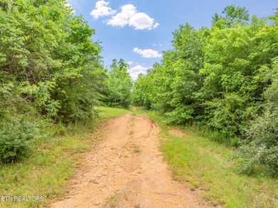 70 Acres of Unrestricted Land - Grigsby Hollow Rd, Kingston, TN - photo 2