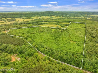 70 Acres of Unrestricted Land - Grigsby Hollow Rd, Kingston, TN - photo 3