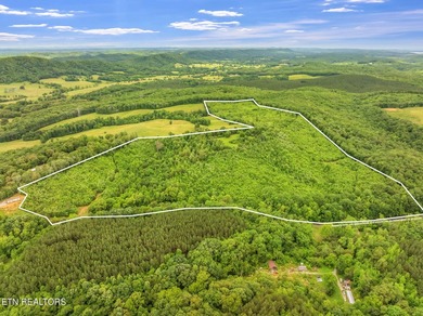 70 Acres of Unrestricted Land - Grigsby Hollow Rd, Kingston, TN - photo 4