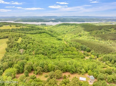 70 Acres of Unrestricted Land - Grigsby Hollow Rd, Kingston, TN - photo 5
