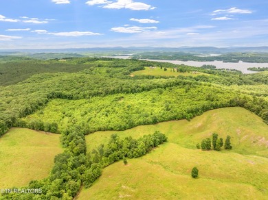 70 Acres of Unrestricted Land - Grigsby Hollow Rd, Kingston, TN - photo 6
