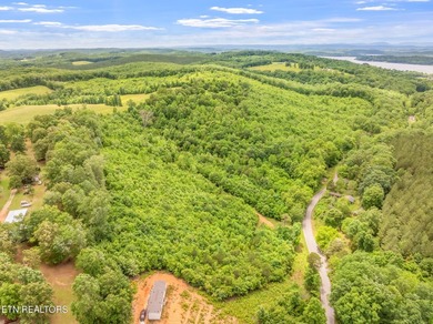 70 Acres of Unrestricted Land - Grigsby Hollow Rd, Kingston, TN - photo 7