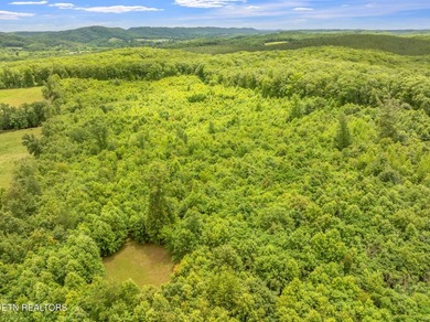 70 Acres of Unrestricted Land - Grigsby Hollow Rd, Kingston, TN - photo 8