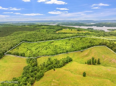 70 Acres of Unrestricted Land - Grigsby Hollow Rd, Kingston, TN - photo 9