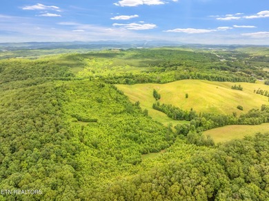 70 Acres of Unrestricted Land - Grigsby Hollow Rd, Kingston, TN - photo 10
