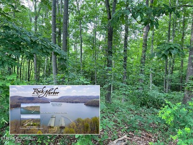 Welcome to Norris Lake front Community: Rock Harbor! An easy - photo 1