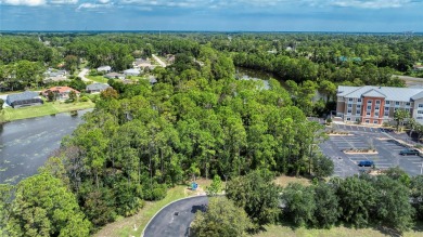 Lake Lot For Sale in Palm Coast, Florida