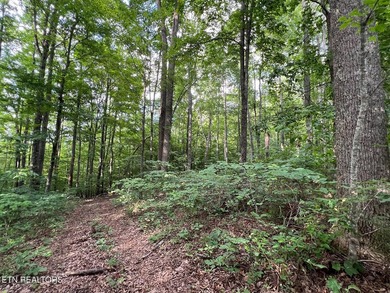 Welcome to Norris Lake front Community: Rock Harbor! An easy - photo 4