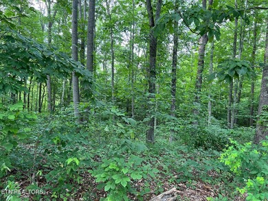 Welcome to Norris Lake front Community: Rock Harbor! An easy - photo 6