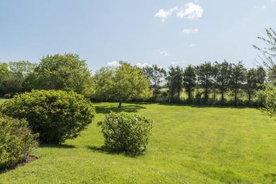 Nestled in the coveted enclave of Bridgehampton South, just - photo 6