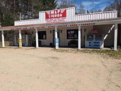 Lake Commercial For Sale in Weidman, Michigan