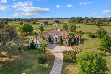 Lake Home ActiveUnderContr in Dunnellon, Florida