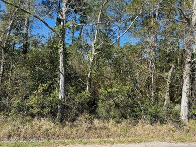 Partially cleared lot in Pass Christian School District - photo 1