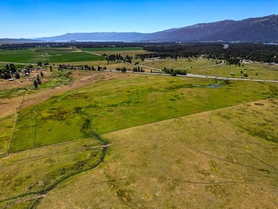 20 acres just south of Donnelly, this incredible parcel offers - photo 6