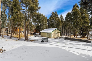 Wonderful single level ranch style home, 3 bed 3 bath two car - photo 26