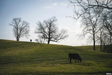 Timber Ridge is a highly improved, turnkey agricultural & - photo 2