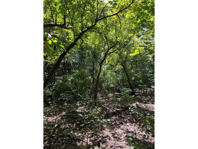 Additional listing photo 1
