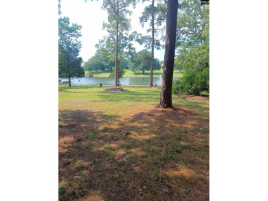  Lot For Sale in Chapin South Carolina