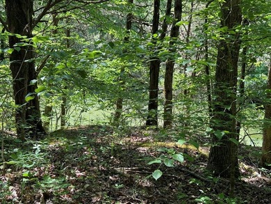 Unique unrestricted property on Cordell Hull Lake with lots of - photo 5